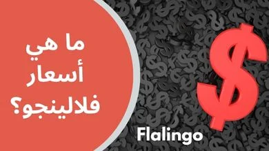 flalingo-prices